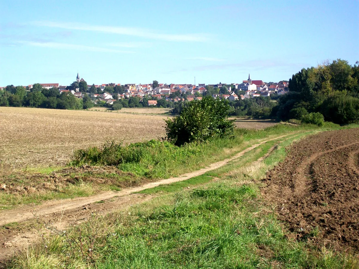 Vue de Dammartin-en-Goële (77)