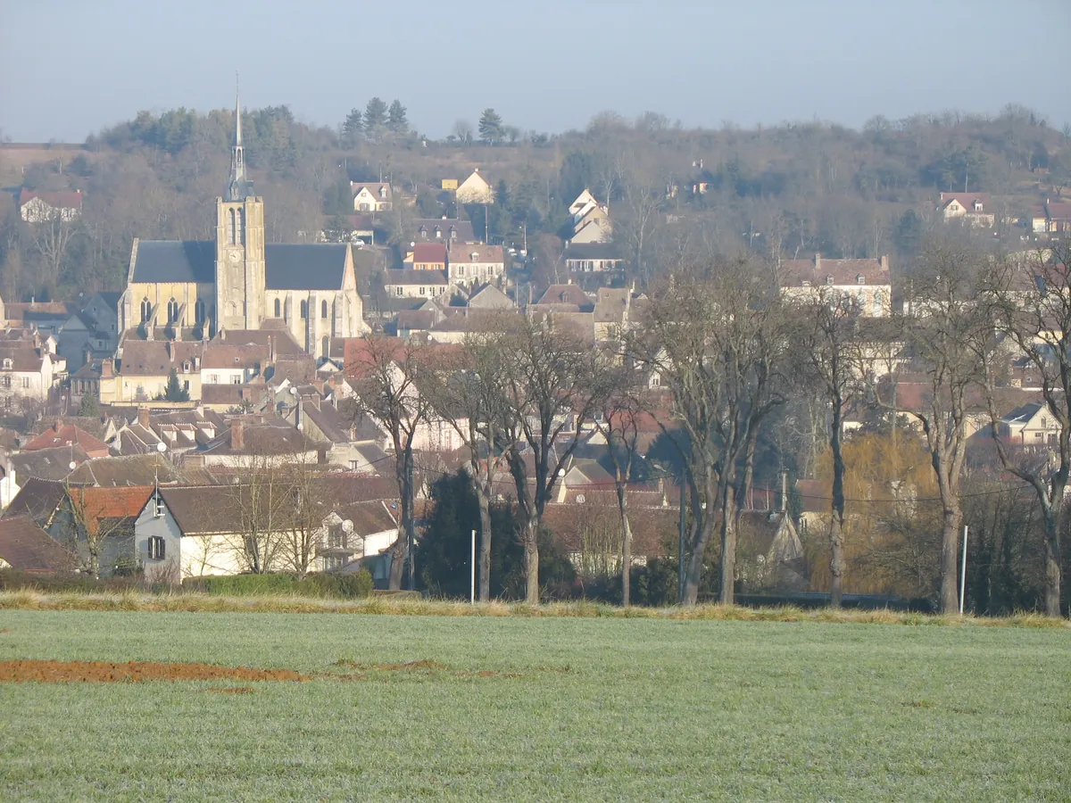 Vue de Donnemarie-Dontilly (77)
